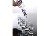 Bec-verseur - 6 pieces  BarUp  Debit rapide  6 u