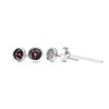Thermometre a steak   set de 4 pieces  HENDI  4 u.   25x H 70mm
