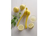 Citruspers  BarUp  geel  voor citroenen   223x75x H 45mm