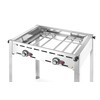 Green Fire avec 2 bruleurs  HENDI  Profi Line  Plaque et grille en fonte emaillee GN 1/1  11 6kW  740x615x H 825mm