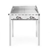 Green fire met 2 branders  HENDI  Profi Line  2x GN 1/1 roosters  11 6kW  740x612x H 825mm