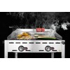 Green fire met 2 branders  HENDI  Profi Line  2x GN 1/1 roosters  11 6kW  740x612x H 825mm