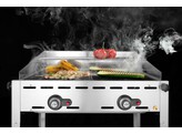 Green fire met 2 branders  HENDI  Profi Line  2x GN 1/1 roosters  11 6kW  740x612x H 825mm
