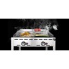 Green fire met 2 branders  HENDI  Profi Line  2x GN 1/1 roosters  11 6kW  740x612x H 825mm