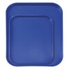Plateaux fastfood petit  AmerBox  Gris clair  265x345x H 20mm