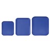 Plateaux fastfood petit  AmerBox  Bleu  265x345x H 20mm