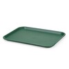 Plateaux fastfood moyen  AmerBox  Vert  305x415x H 20mm