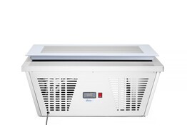 Displayvriezer voor ijs  Arktic  230V/210W  867x735x H 373mm