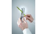 Eplucheur a asperges  HENDI  200x50x H 30mm