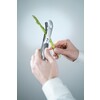 Eplucheur a asperges  HENDI  200x50x H 30mm