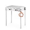 Roast-Master Pro gasbarbecue  HENDI  11 6kW  790x560x H 900mm