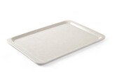 Plateau en polyester pour les restaurants en libre-service  AmerBox  GN 1/1  Granit  530x325mm
