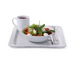 Plateau en polyester pour les restaurants en libre-service  AmerBox  GN 1/1  Granit  530x325mm