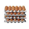 Set van 4 eierbakken voor HENDI OVOBOX 120   HENDI  291x288x H 41mm