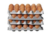 Set van 4 eierbakken voor HENDI OVOBOX 120   HENDI  291x288x H 41mm