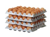 Set van 4 eierbakken voor HENDI OVOBOX 120   HENDI  291x288x H 41mm