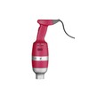 Staafmixer Profi Line 400 - met regelbare snelheid. Set met opbergrek.  HENDI  Profi Line  230V/400W   100x H 765mm