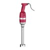 Staafmixer Profi Line 300 - met regelbare snelheid  HENDI  Profi Line  230V/300W   100x H 675mm