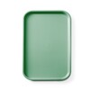 Fastfooddienblad polypropyleen GN 1/1  AmerBox  GN 1/1  Groen  530x325x H 20mm