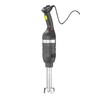 Staafmixer 350 met variabele snelheid en 250 mm staaf  HENDI  Zwart  230V/350W   100x666mm